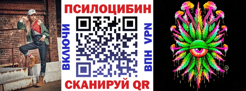 Псилоцибиновые грибы Psilocybine cubensis  Заозёрск 